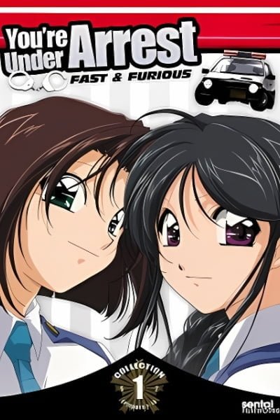 You're Under Arrest: Fast & Furious