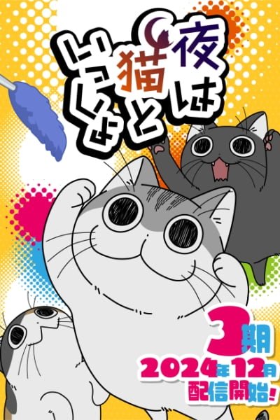 Nights with a Cat Season 3
